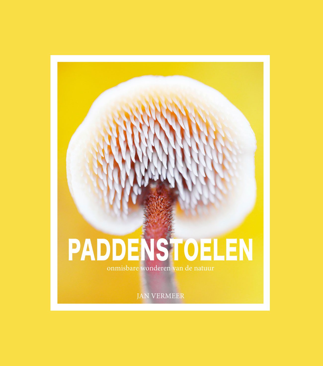 Cover boek Paddenstoelen