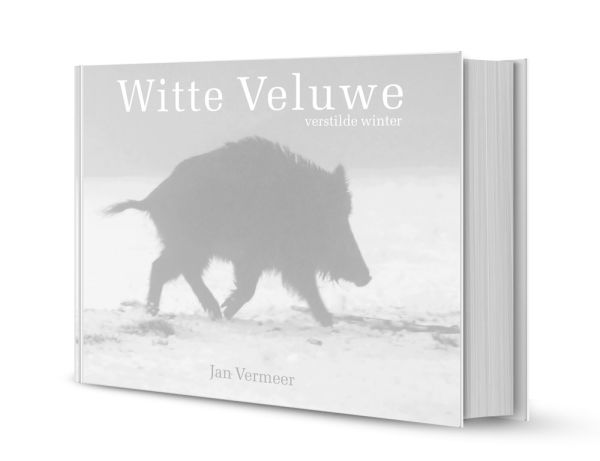 witte veluwe, Witte Veluwe, Veluwe, sneeuw, ijs, fotoboek Veluwe, Winter op de Veluwe, Veluwe Vermeer, Jan Vermeer Veluwefotograaf, Boek Veluwe, veluwebeok, Veluwse natuur, edelherten, moeflons, zwijnen, vogels, paddenstoelen, sneeuwpret, Gelderland, Boek over de Veluwe, Boek over winter, winterstilte, winter sfeer